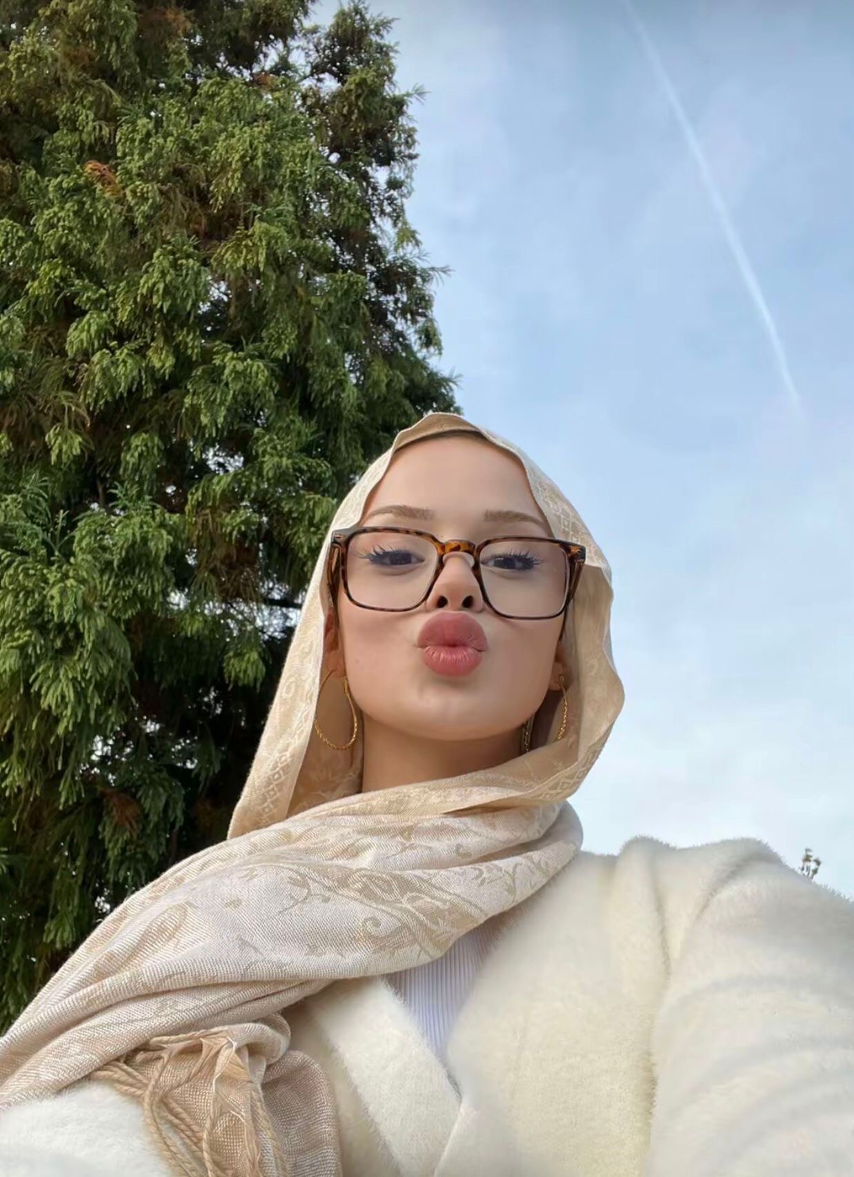 Dirmil Jigolo Escort Aycan